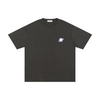 The Swing Space 2026 Unisex T-Shirt (Colored)