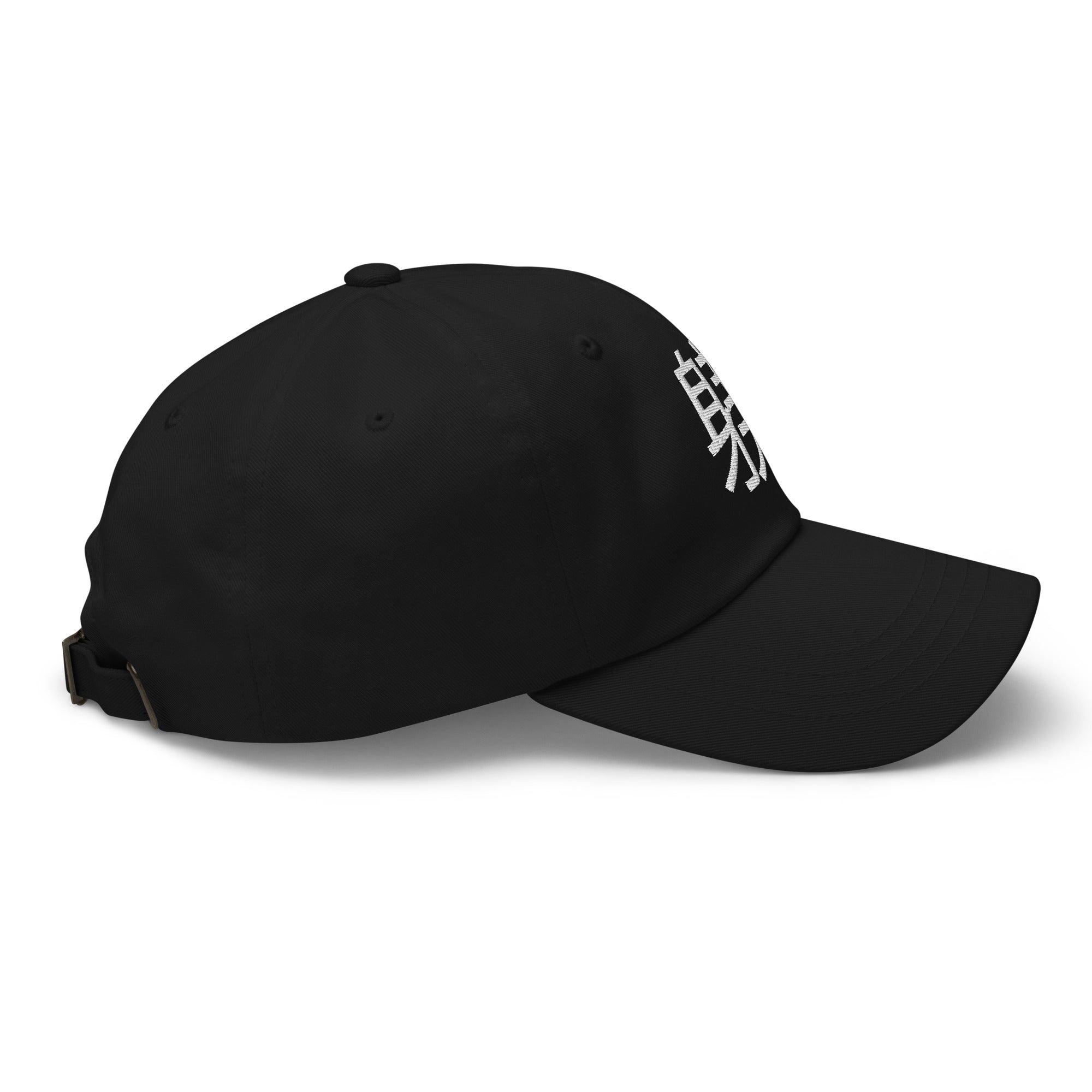 Training/Discipline Dad hat