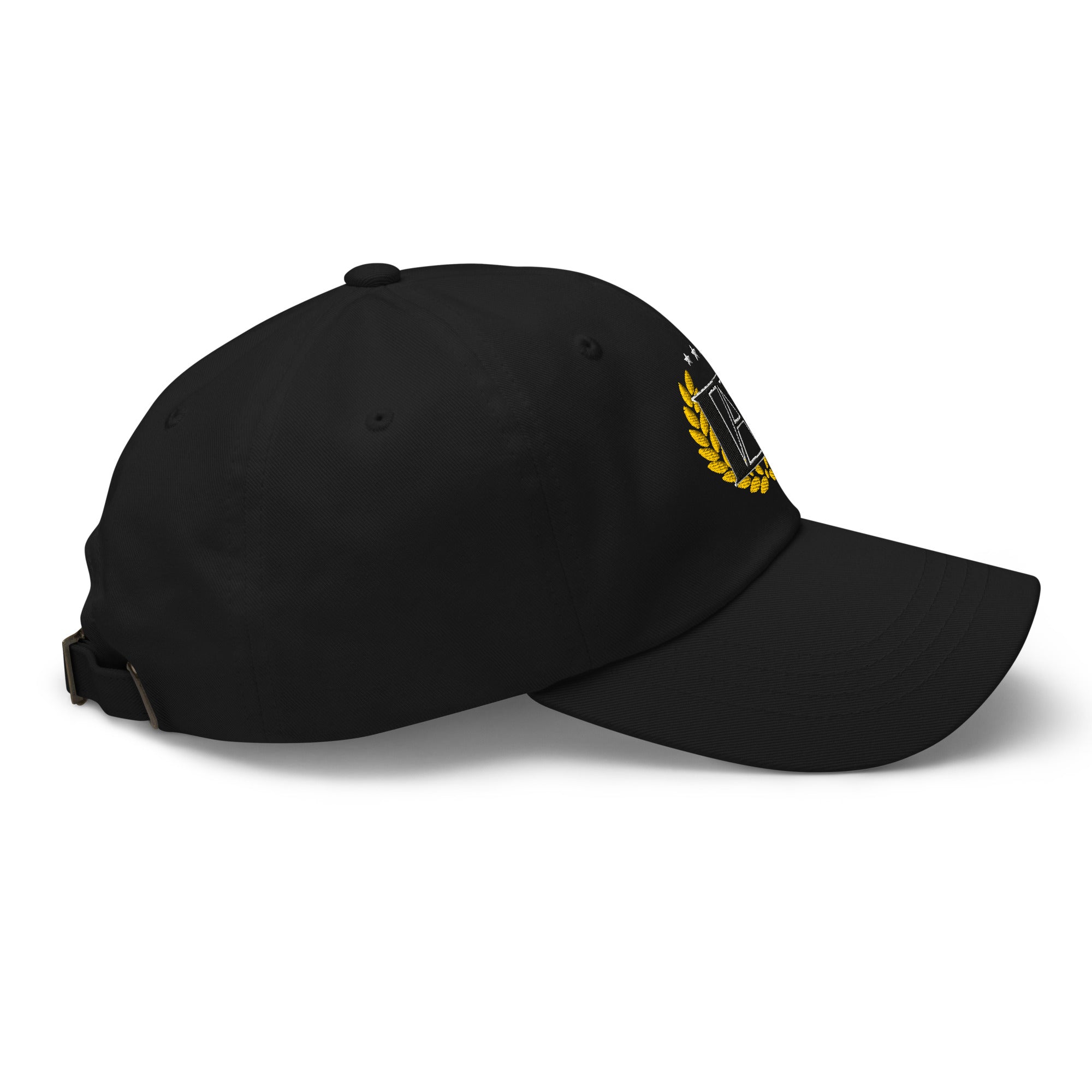 MSA University Embroidered Dad hat