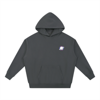 The Swing Space 2026 Unisex Hoodie (Colored)