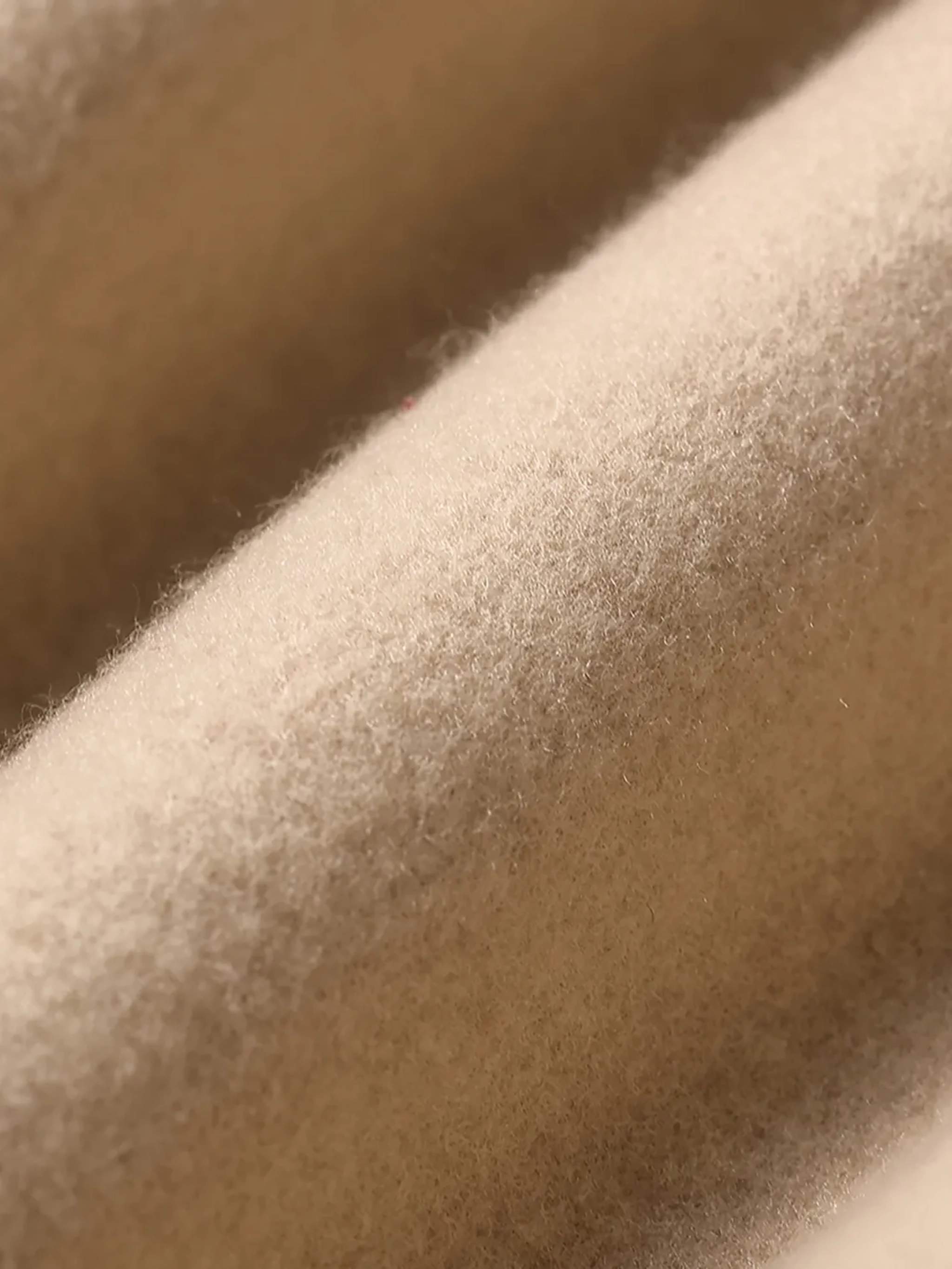 Minimalist Fleece Pullover