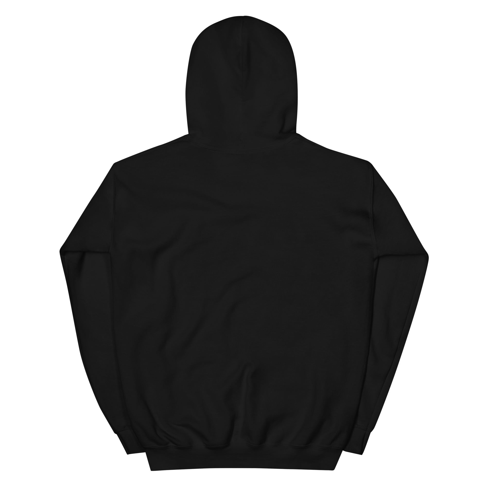 MSA University Embroidered Logo Unisex Hoodie